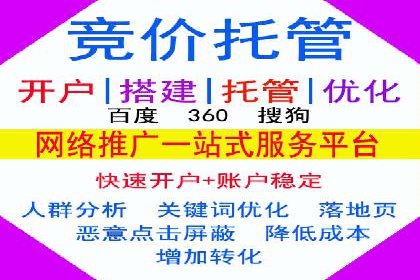 案例解读：SEM代理助力电商销量翻倍